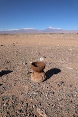 a tea ceremony (feat. Atacama desert)